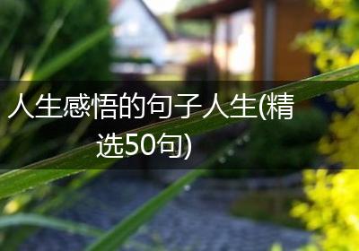 人生感悟的句子人生(精选50句)