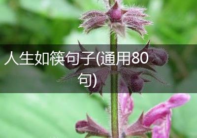 人生如筷句子(通用80句)