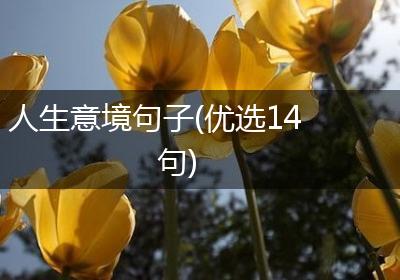 人生意境句子(优选14句)