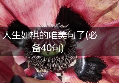 人生如棋的唯美句子(必备40句)