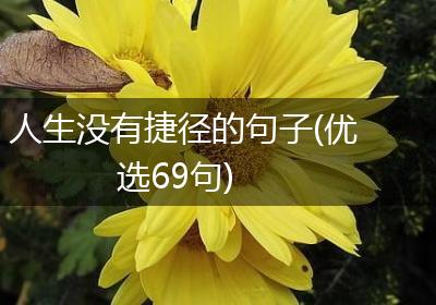 人生没有捷径的句子(优选69句)
