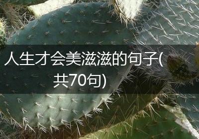 人生才会美滋滋的句子(共70句)