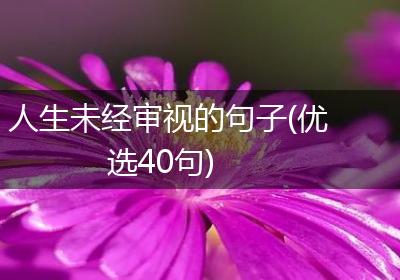 人生未经审视的句子(优选40句)