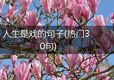 人生是戏的句子(热门30句)