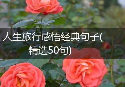 人生旅行感悟经典句子(精选50句)
