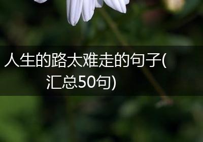人生的路太难走的句子(汇总50句)