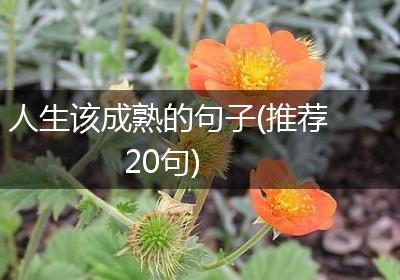 人生该成熟的句子(推荐20句)
