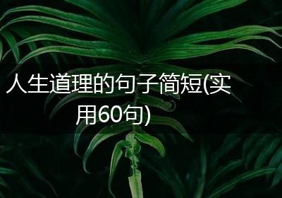 人生道理的句子简短(实用60句)