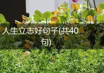人生立志好句子(共40句)
