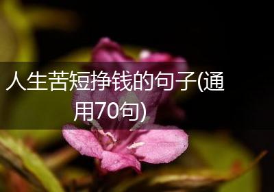 人生苦短挣钱的句子(通用70句)