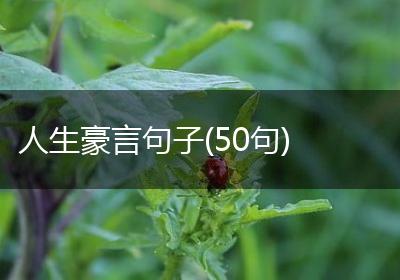 人生豪言句子(50句)