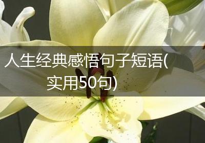 人生经典感悟句子短语(实用50句)