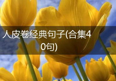 人皮卷经典句子(合集40句)