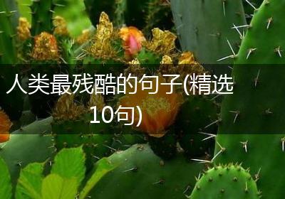 人类最残酷的句子(精选10句)