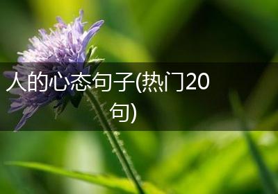 人的心态句子(热门20句)