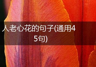人老心花的句子(通用45句)
