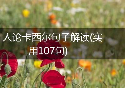人论卡西尔句子解读(实用107句)