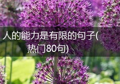 人的能力是有限的句子(热门80句)