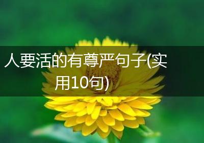 人要活的有尊严句子(实用10句)