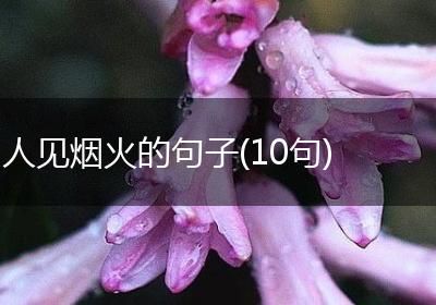 人见烟火的句子(10句)