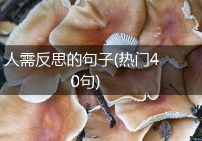 人需反思的句子(热门40句)