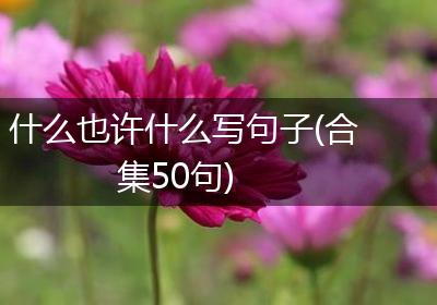 什么也许什么写句子(合集50句)
