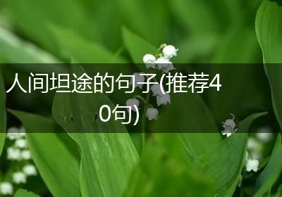 人间坦途的句子(推荐40句)