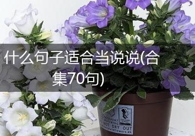 什么句子适合当说说(合集70句)