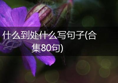 什么到处什么写句子(合集80句)