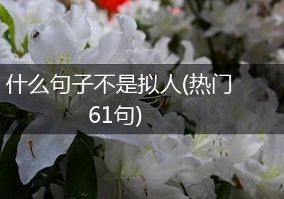 什么句子不是拟人(热门61句)