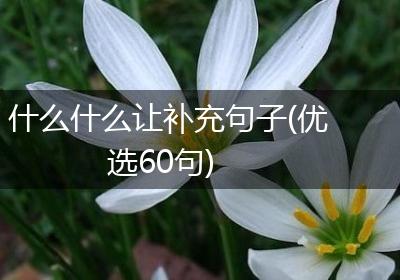 什么什么让补充句子(优选60句)