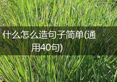 什么怎么造句子简单(通用40句)