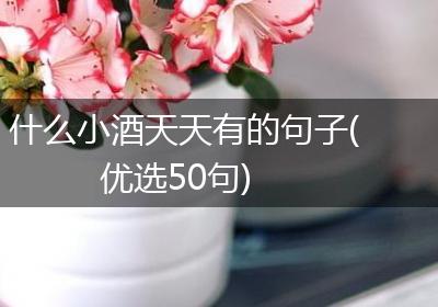 什么小酒天天有的句子(优选50句)