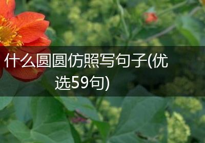 什么圆圆仿照写句子(优选59句)