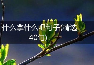 什么拿什么吧句子(精选40句)