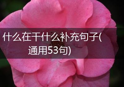 什么在干什么补充句子(通用53句)