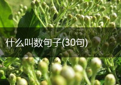 什么叫数句子(30句)