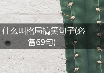 什么叫格局搞笑句子(必备69句)