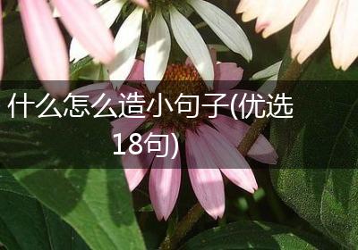 什么怎么造小句子(优选18句)