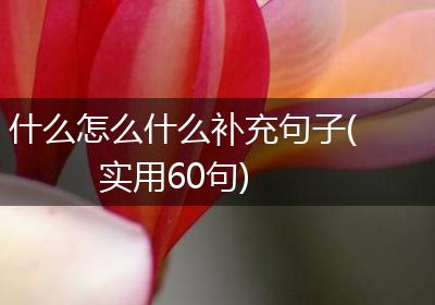 什么怎么什么补充句子(实用60句)