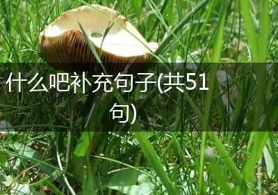 什么吧补充句子(共51句)