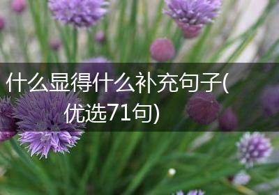 什么显得什么补充句子(优选71句)