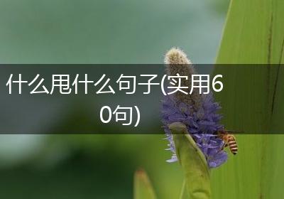 什么甩什么句子(实用60句)