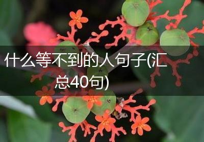 什么等不到的人句子(汇总40句)