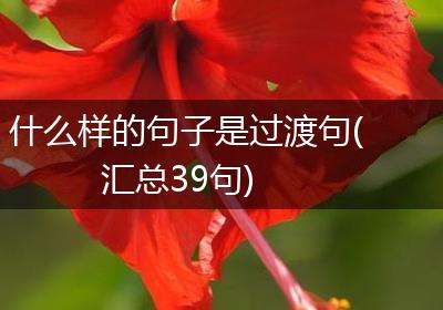 什么样的句子是过渡句(汇总39句)