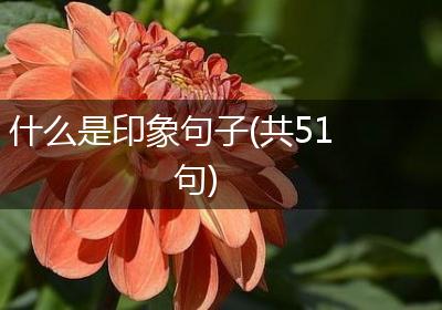 什么是印象句子(共51句)