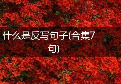 什么是反写句子(合集7句)