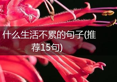 什么生活不累的句子(推荐15句)