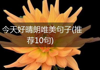 今天好晴朗唯美句子(推荐10句)