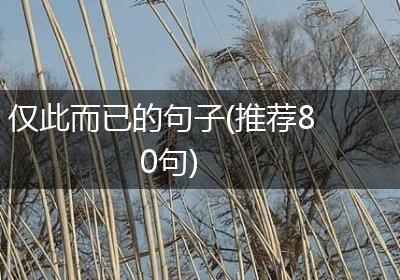 仅此而已的句子(推荐80句)